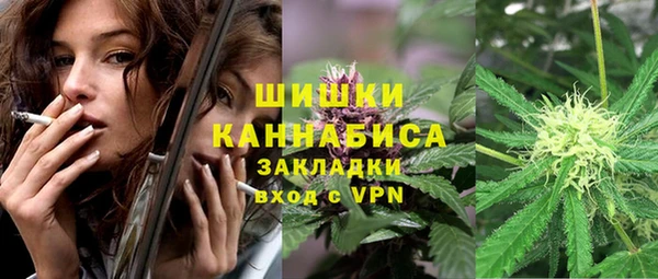 прущие грибы Нязепетровск