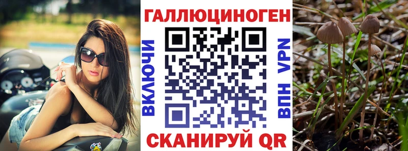 купить наркотики сайты  Майский  Галлюциногенные грибы MAGIC MUSHROOMS 