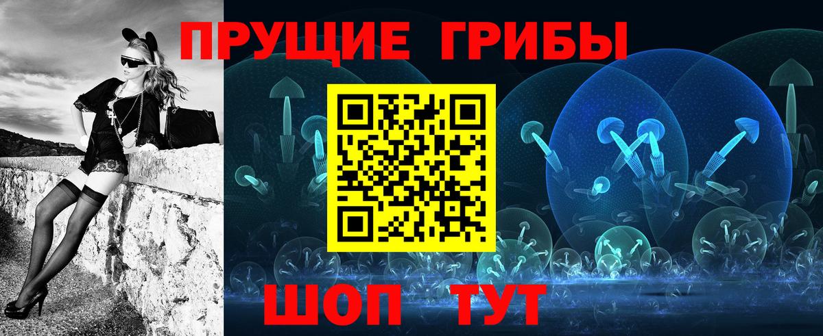 Майский  Галлюциногенные грибы MAGIC MUSHROOMS  Вход с VPN  Галлюциногенные грибы GOLDEN TEACHER 